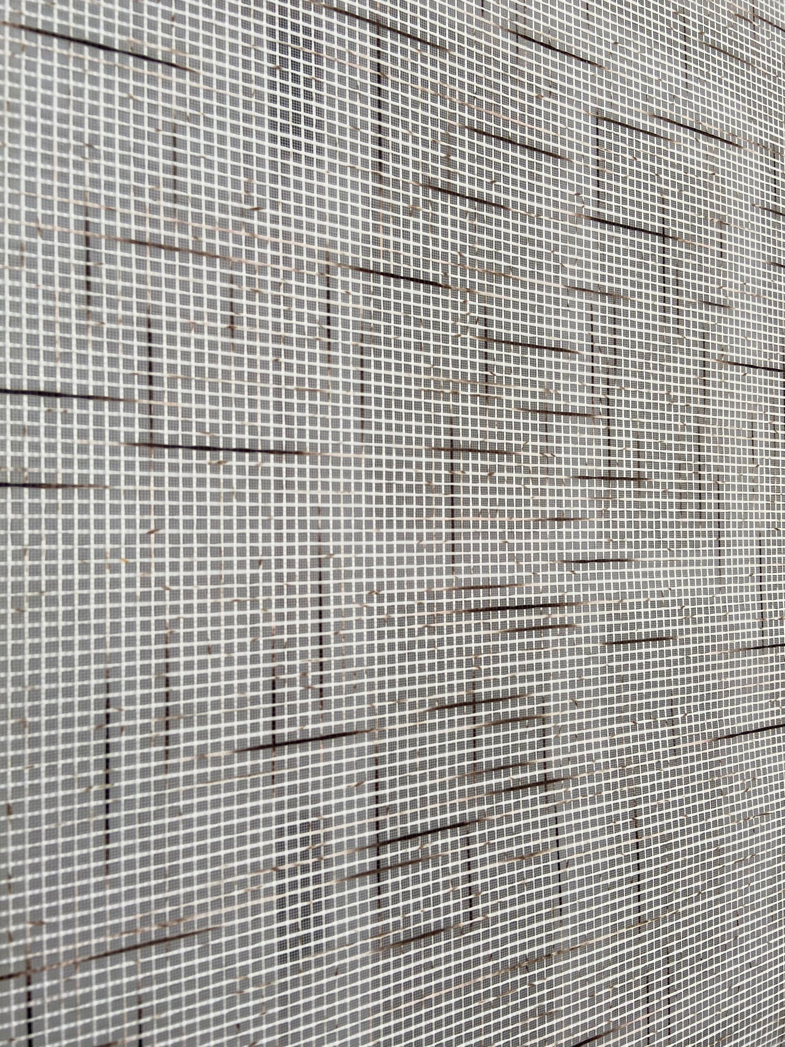 VP1325 Çift Mekanizmalı Renkli Degrade Tül Ve Stor Perde Beyaz Koyu Kahverengi